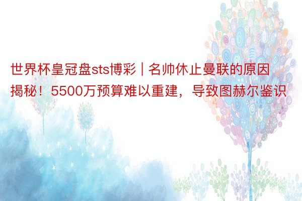世界杯皇冠盘sts博彩 | 名帅休止曼联的原因揭秘！5500万预算难以重建，导致图赫尔鉴识