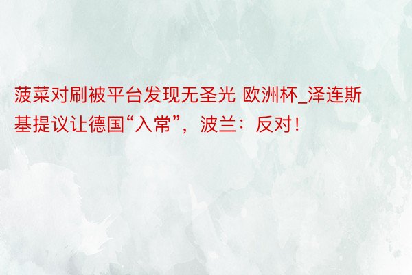 菠菜对刷被平台发现无圣光 欧洲杯_泽连斯基提议让德国“入常”，波兰：反对！