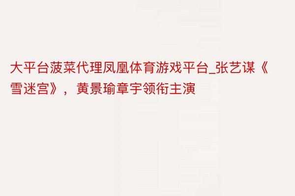 大平台菠菜代理凤凰体育游戏平台_张艺谋《雪迷宫》，黄景瑜章宇领衔主演